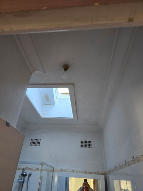 Before - Baulkham Hills - Bathroom Painting