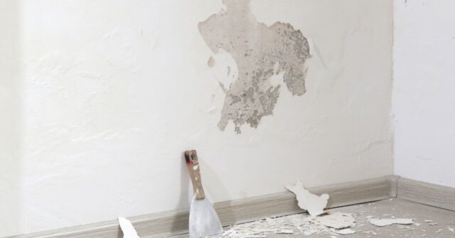Peeling paint and damaged plaster on an interior wall, with a scraper and fallen paint chips on the floor, indicating water damage and repair work.