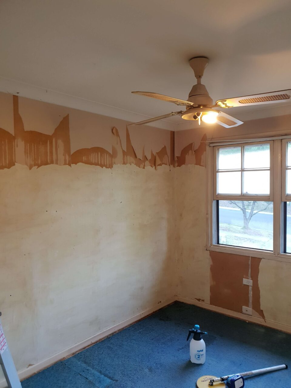 Before - Thornleigh - Bedroom Painting